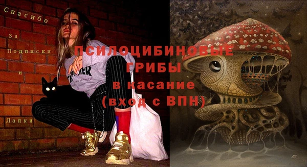 2c-b Каменка