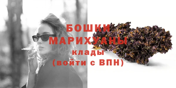 молекула духа Каменск-Шахтинский